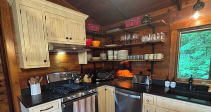 Quintessential Lake Cabin - Pontoon boat included!