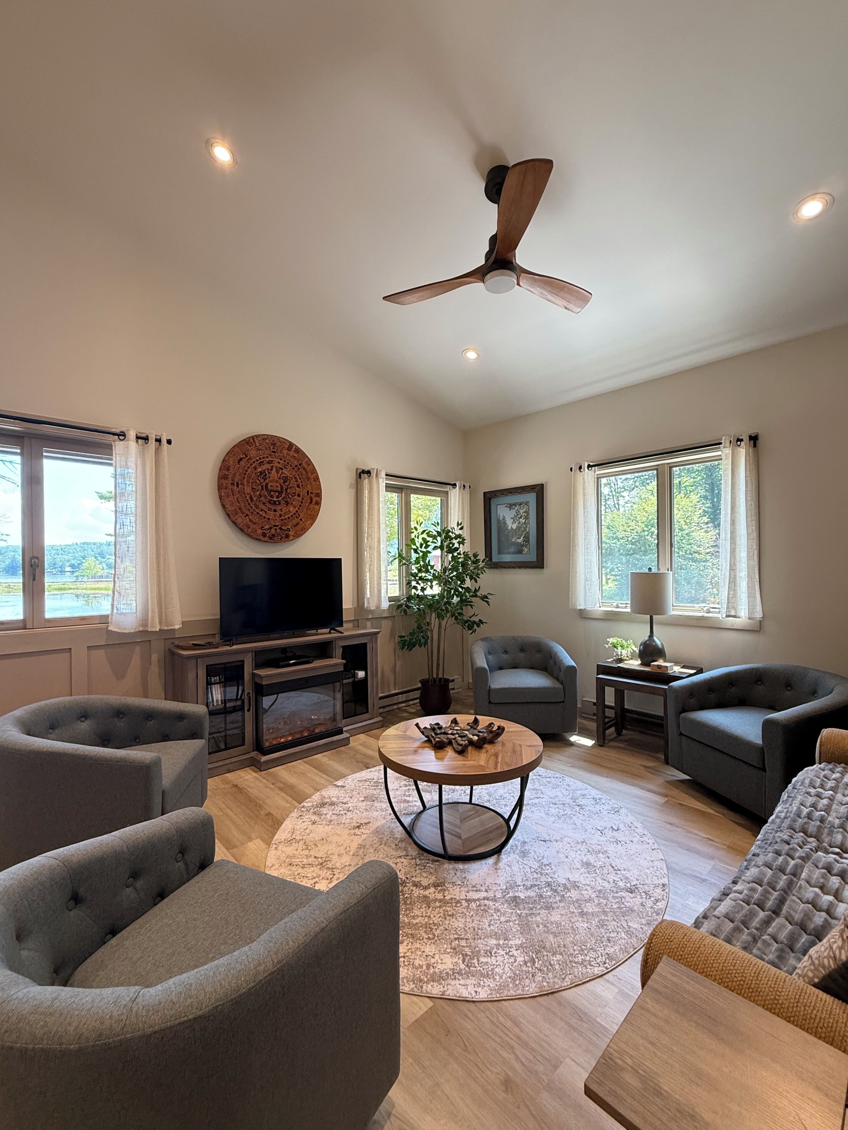 Smart TV, fireplace, DVD player, books