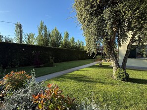 Un jardín bien cuidado con un sendero, setos ordenados y una variedad de arbustos.