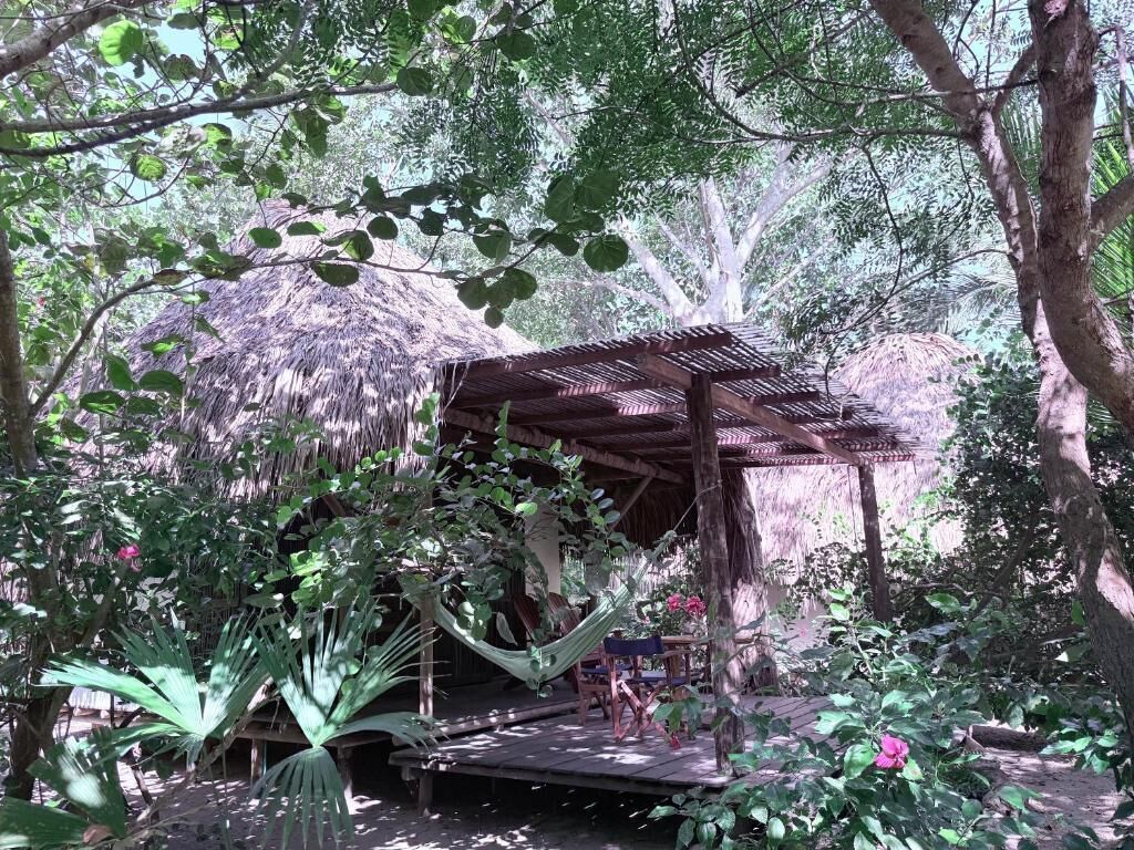 A thatched-roof structure with a wooden deck, surrounded by lush greenery and trees.