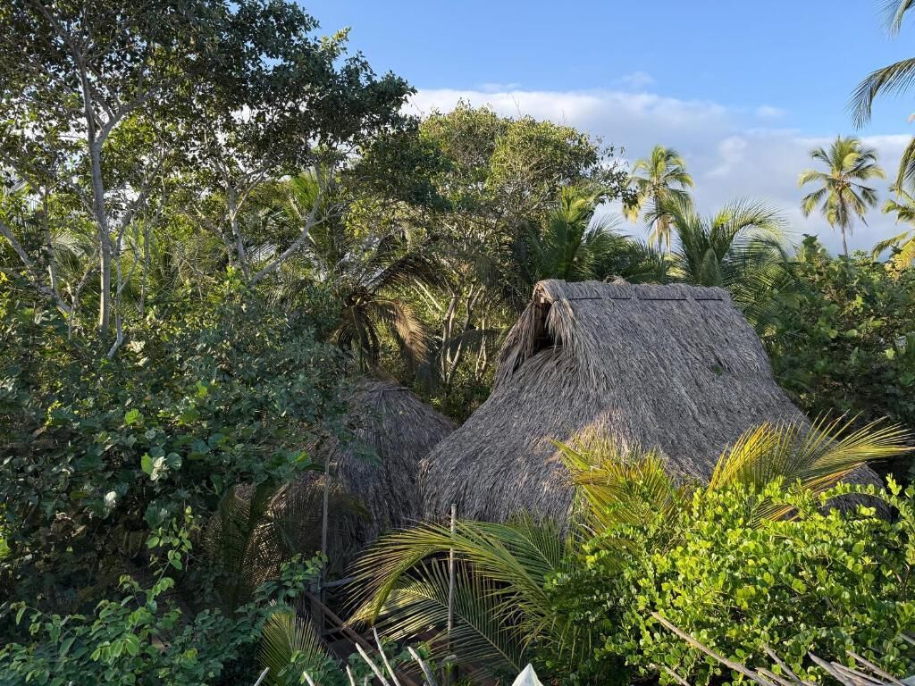 Une construction à toit de chaume, entourée d’une végétation tropicale luxuriante.