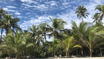 Una playa con palmeras y cielo despejado.