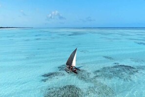 Beach - Indian Ocean Beachfront Sanctuary (Paje)