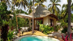 A tropical resort with a pool, palm trees, and a thatched-roof hut. - Zanzibar Family Paradise Villa (Paje)