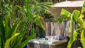 Un jacuzzi rodeado de exuberante vegetación tropical y una valla de bambú.