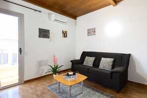 Una sala de estar con un sofá, una mesa de centro, una planta en maceta y un tapete estampado.