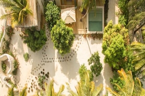 Um jardim no terraço com piscina, palmeiras e um deck de madeira.