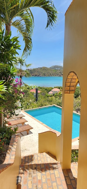 A swimming pool with a view of the sea, surrounded by greenery and a clear sky. - Elysium Villa-Natural Surroundings, Ocean Views, Private Pool! (Cruz Bay)