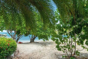 A beach with palm trees, a sandy path, and a boat in the water. - Nautilus-Beach Front, Family Friendly, Prime Locale (Cruz Bay)