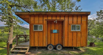 Peaceful rustic 1-bedroom cabin with AC in charming Lehighton