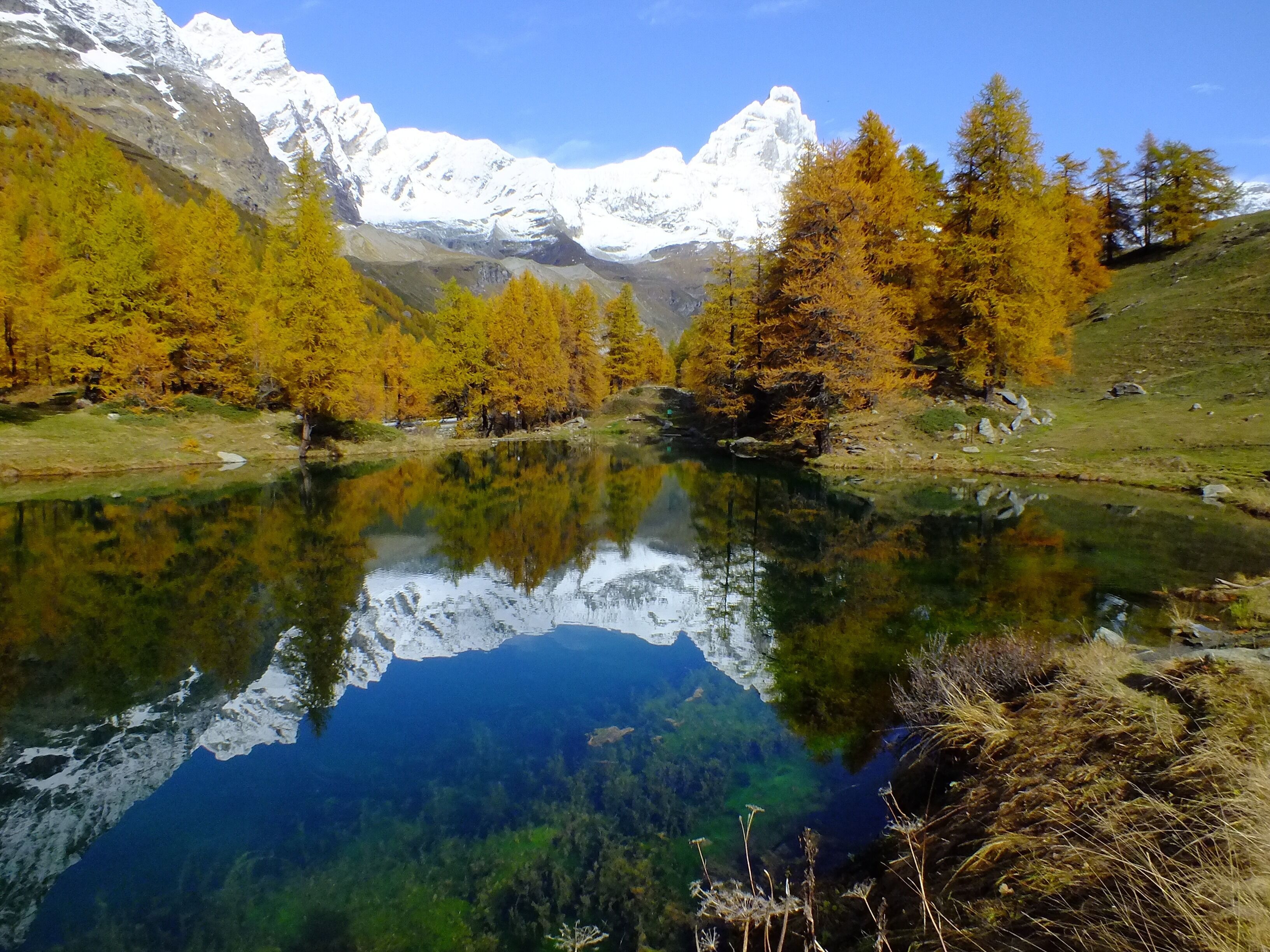 Un lago sereno con reflejos de árboles y montañas.
