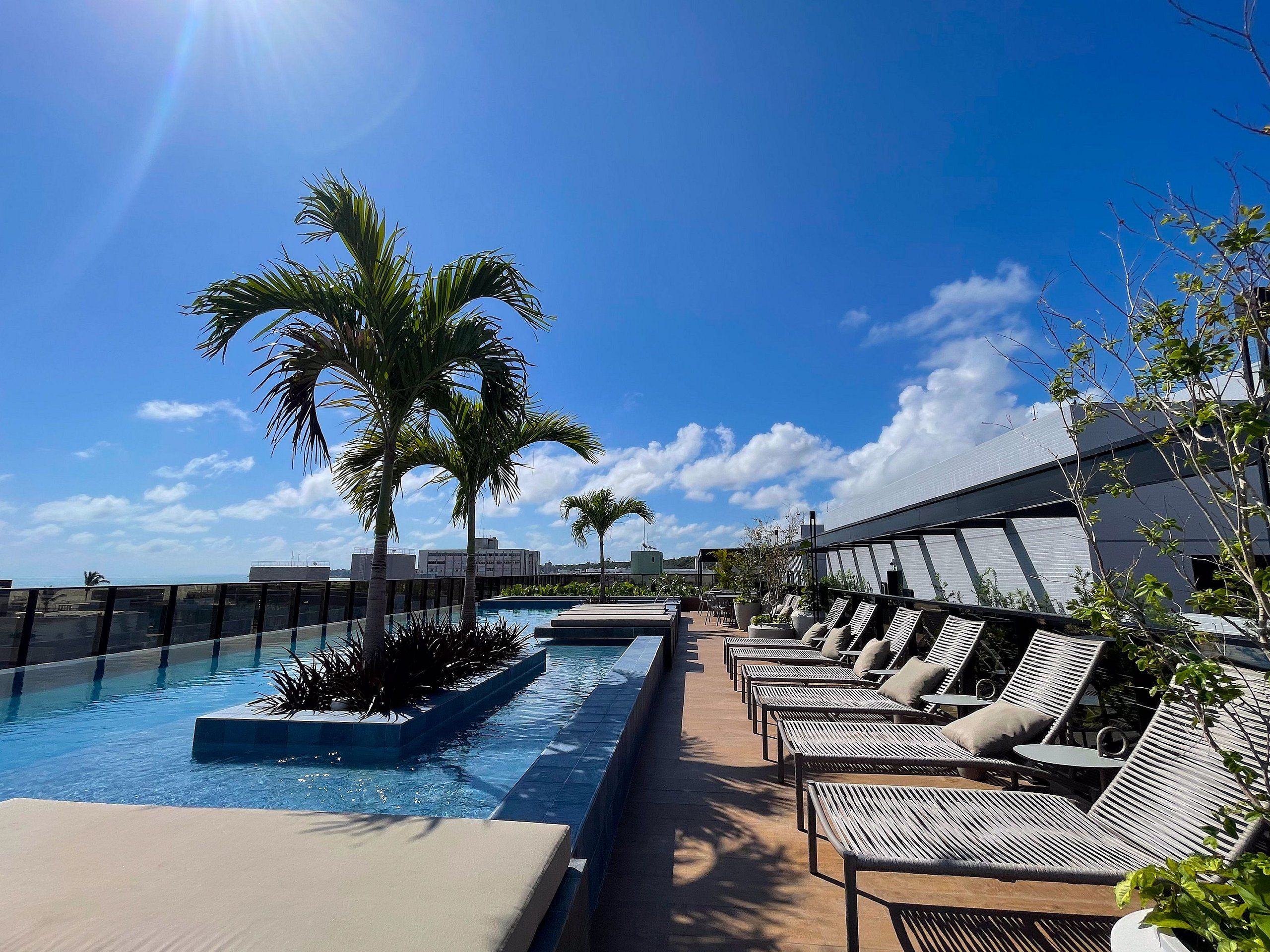 A rooftop pool area with lounge chairs and palm trees.