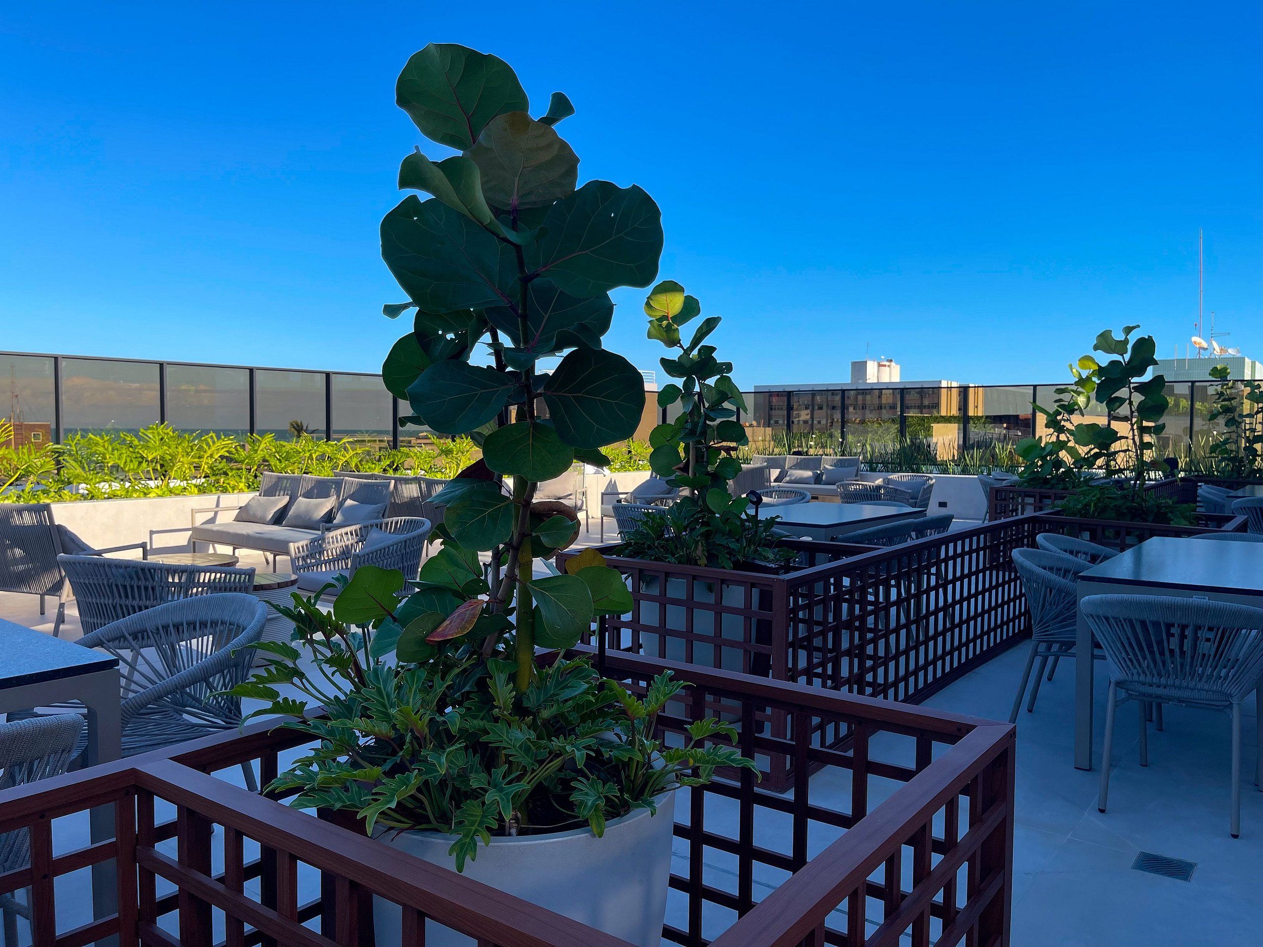 Terraço no telhado com área de estar ao ar livre, plantas em vasos e vista do horizonte da cidade.