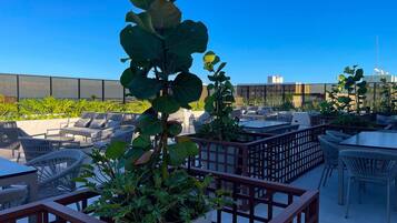 Terraço no telhado com área de estar ao ar livre, plantas em vasos e vista do horizonte da cidade.