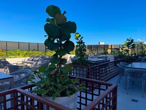 A rooftop terrace with outdoor seating, potted plants, and a view of the city skyline.