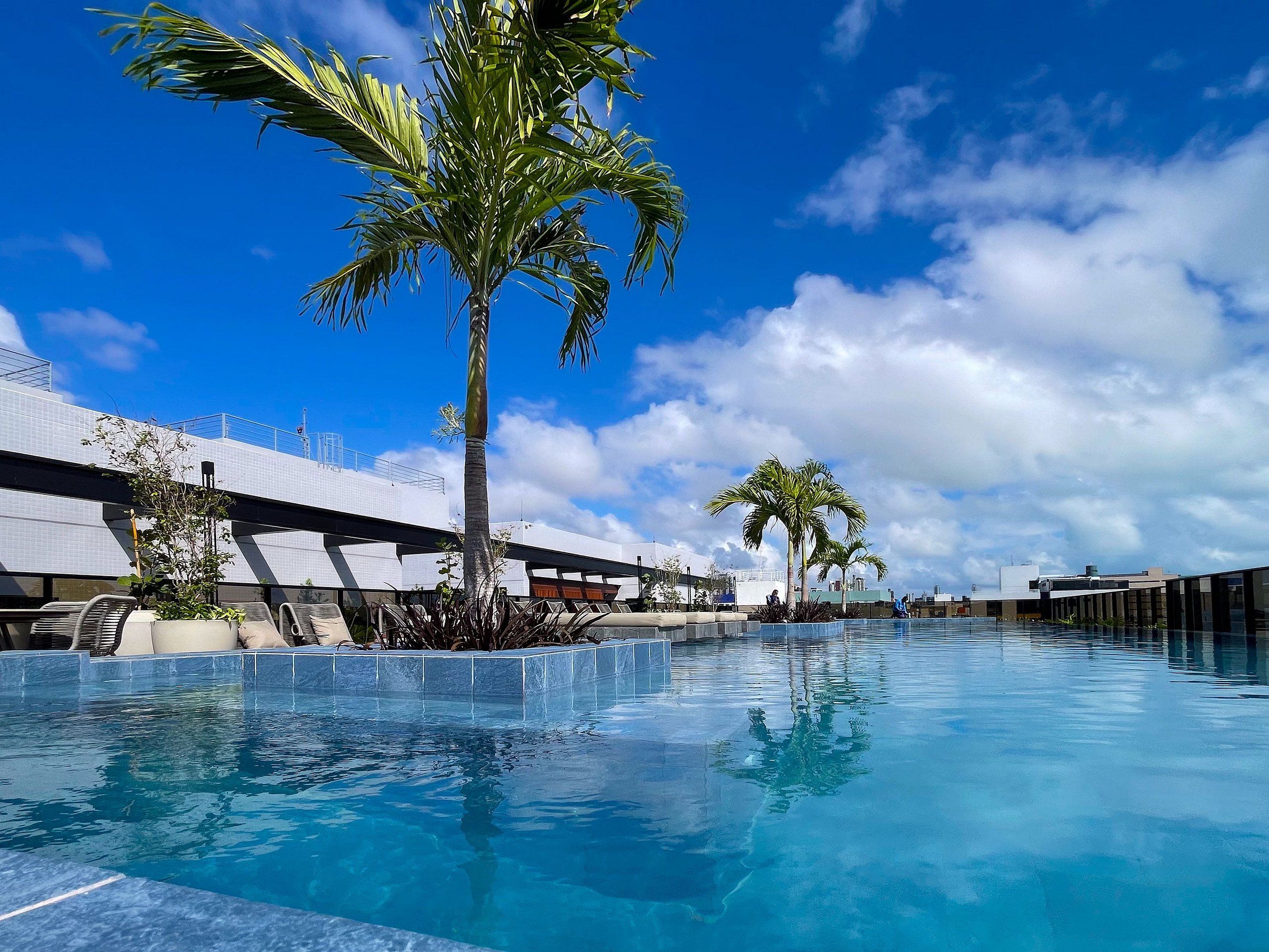 Una piscina con palmeras, cielo despejado y edificios modernos al fondo.
