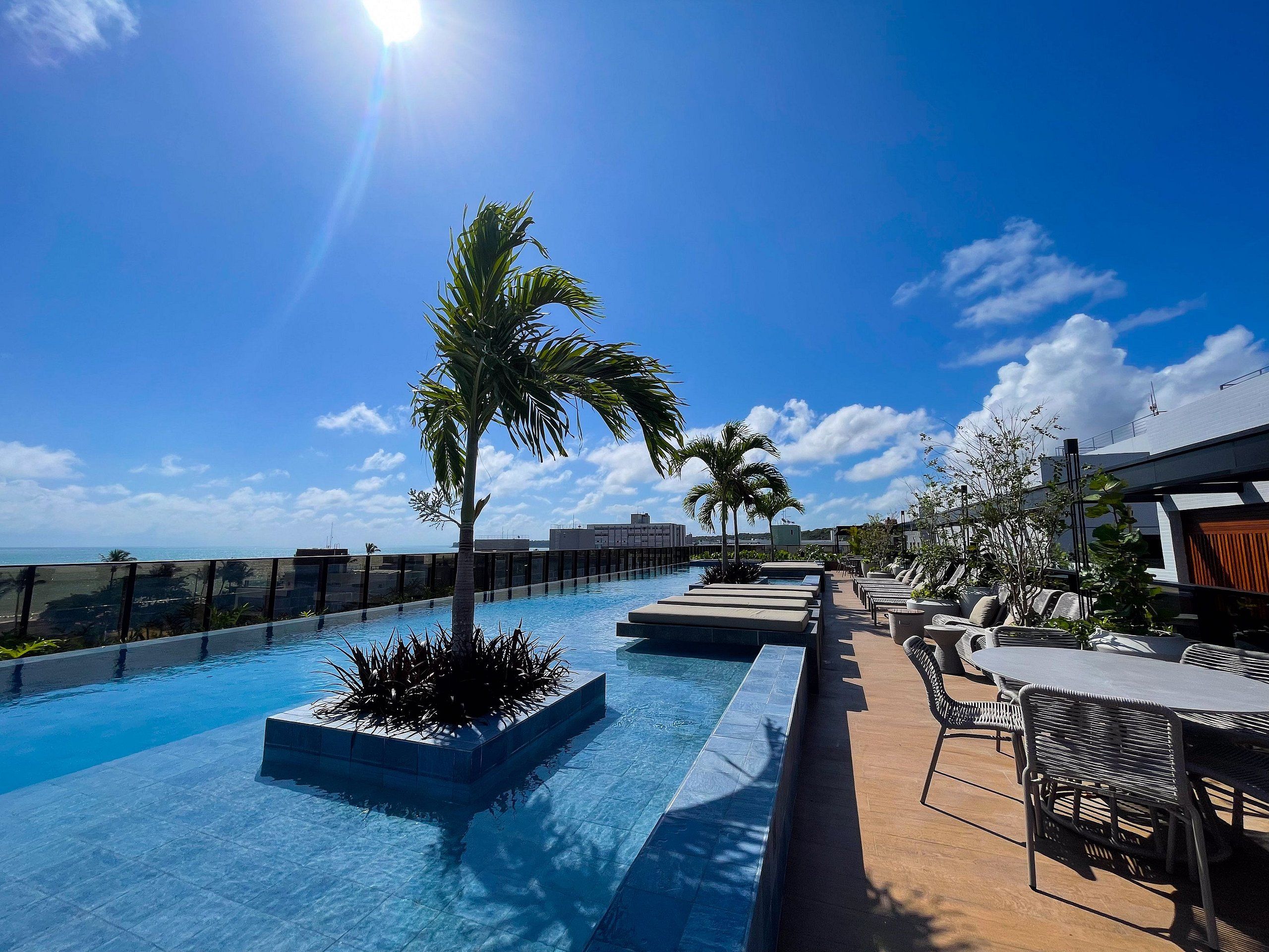 A rooftop pool with palm trees, lounge chairs, and a view of the ocean.
