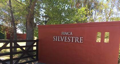 Finca Silvestre, House 3
