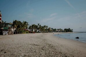Ein Strand mit blauem Himmel, Palmen und ruhiger See.
