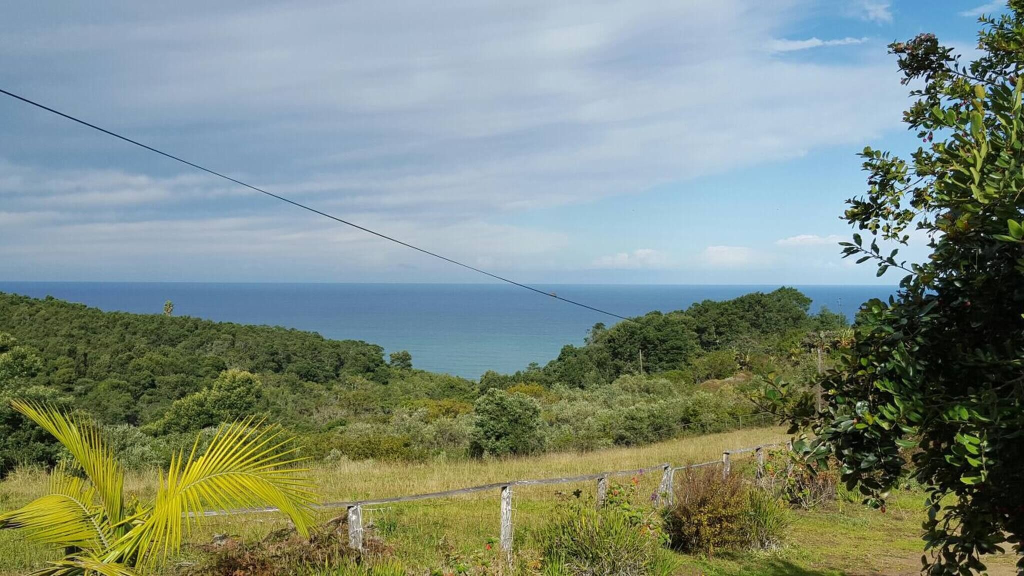 Paisaje costero con vista al mar, abundante vegetación y una línea eléctrica.