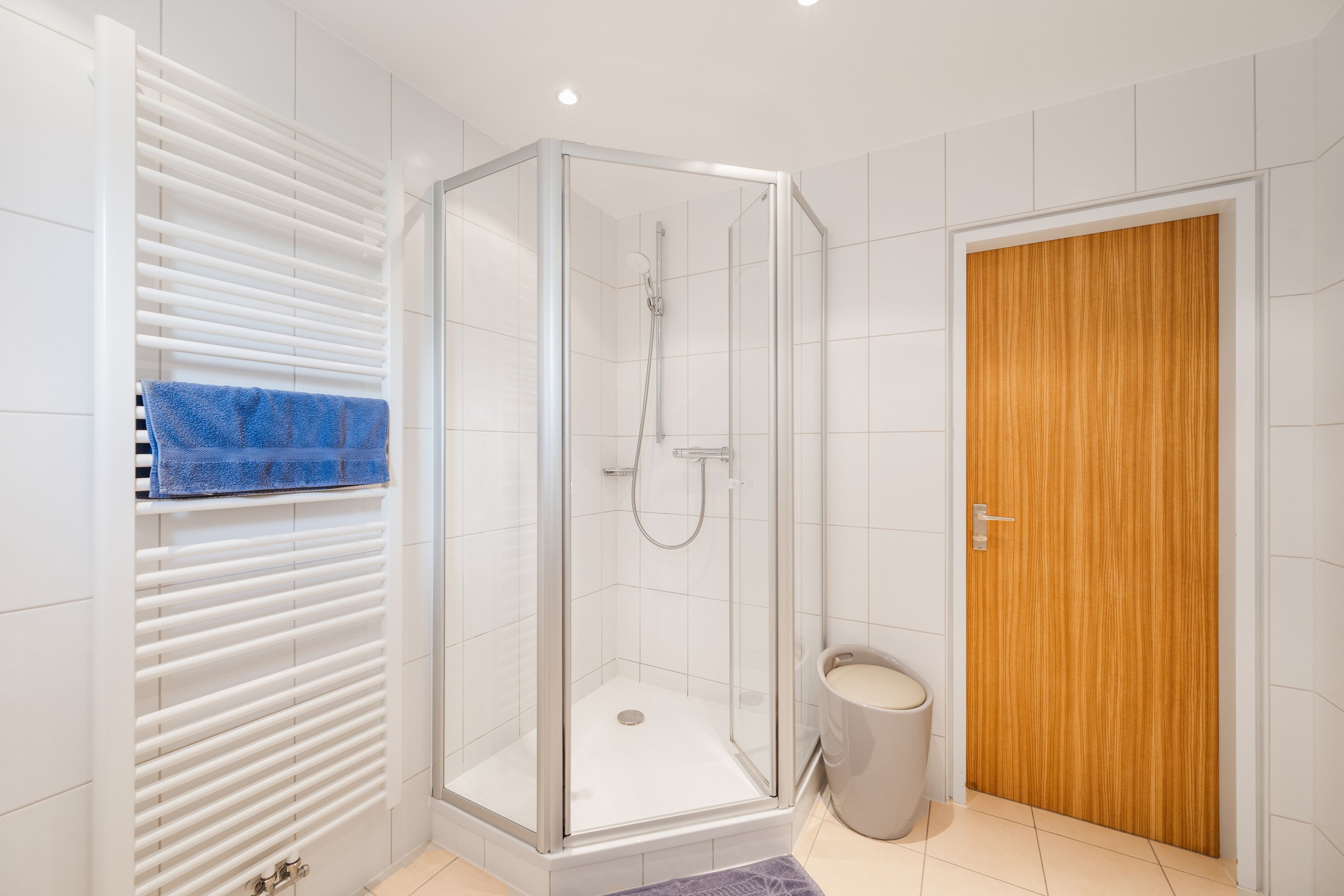 A modern bathroom with a glass-enclosed shower, a wooden door, and a towel rack with a blue towel.