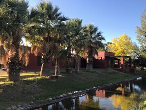 Property grounds - FINCA SILVESTRE CABINS IN SAN RAFAEL, MENDOZA (Capitán Montoya)