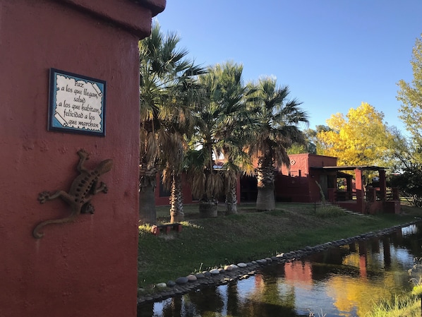 A tranquil outdoor area with a pond, palm trees, and a building with a red facade.