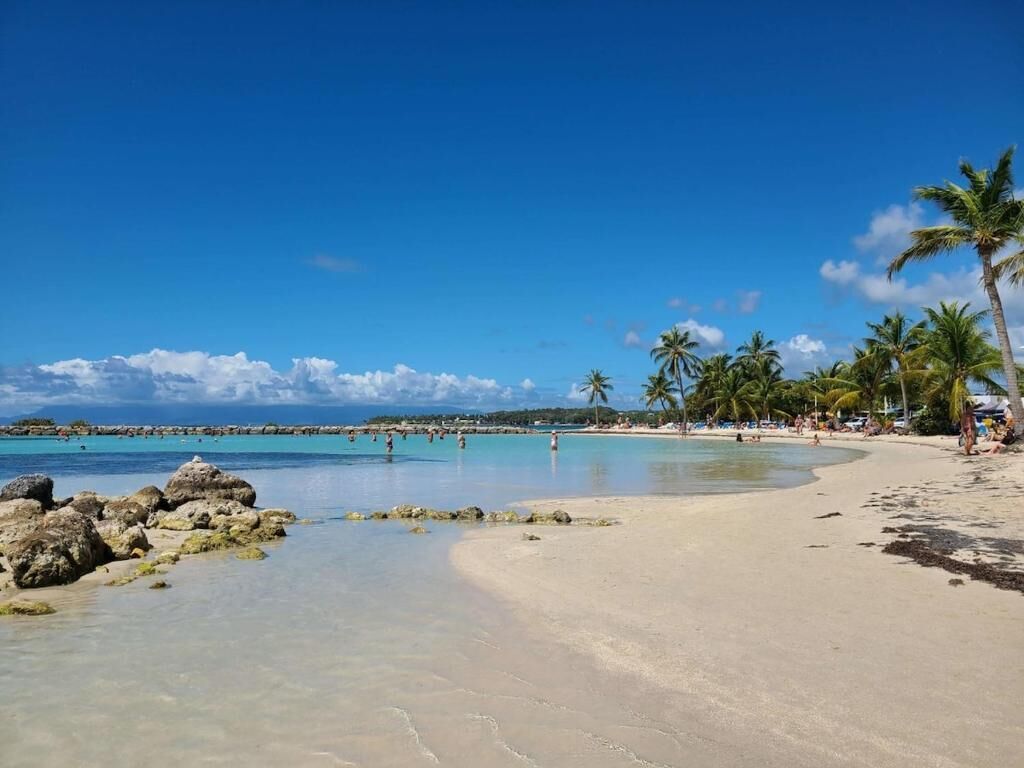 A beach with clear turquoise water, sandy shore, and palm trees.