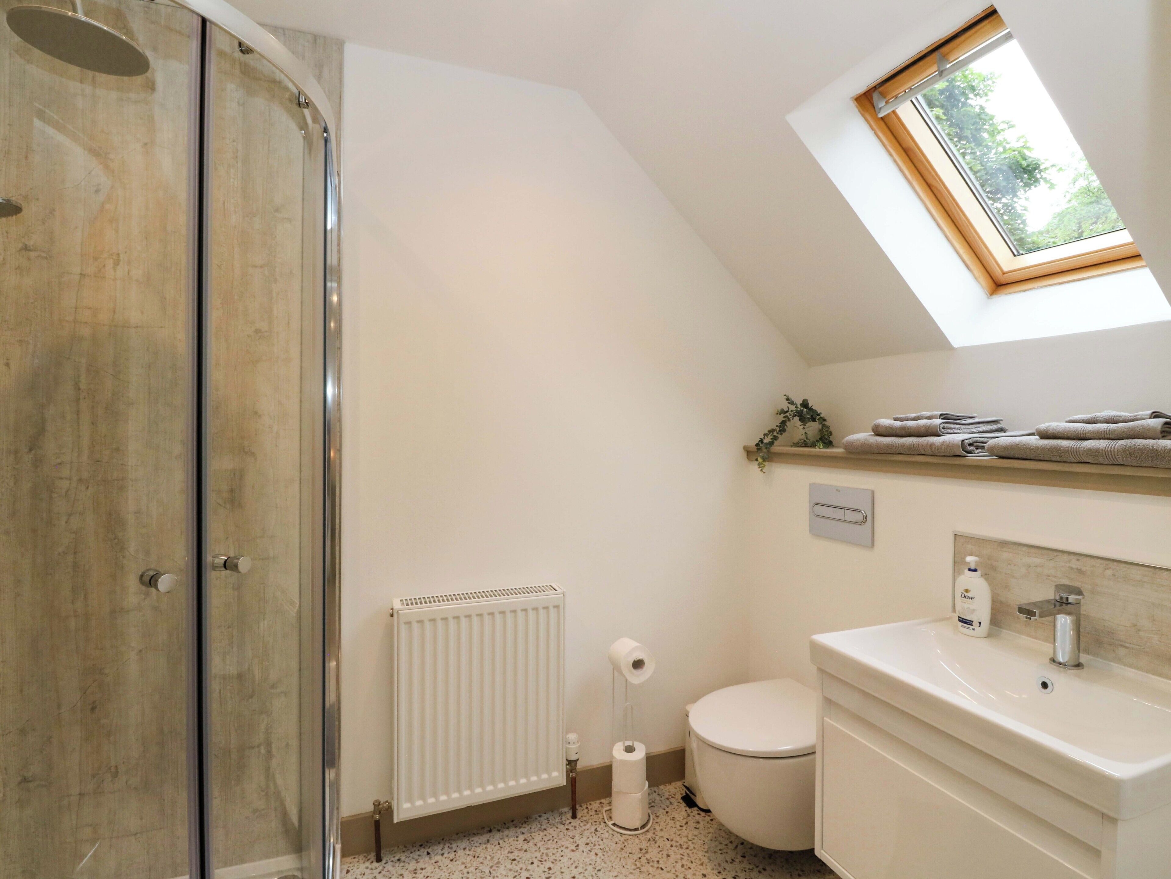 A bathroom with a shower, toilet, sink, and a skylight.