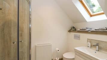 A bathroom with a shower, toilet, sink, and a skylight.
