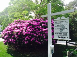 Schild für McCormick's Cottages auf Cape Cod, mit Kontaktdaten und Webseite.