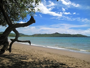 Una playa con un árbol en primer plano, cielo despejado y una cadena montañosa a lo lejos.