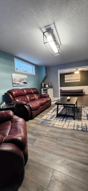 TV - Comfortable 2 Bedroom Home in Historic Hibbing (Hibbing)