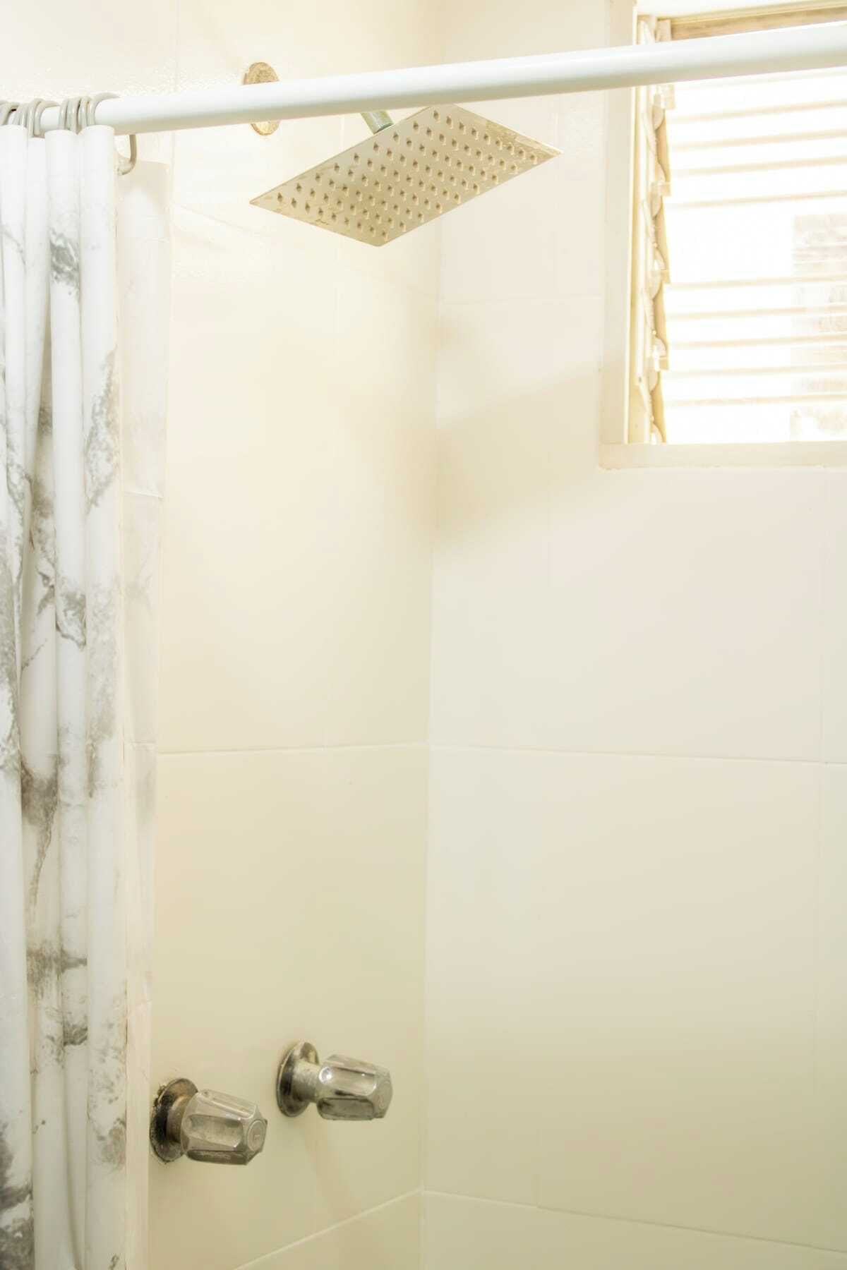 Chuveiro, secador de cabelo, shampoo 