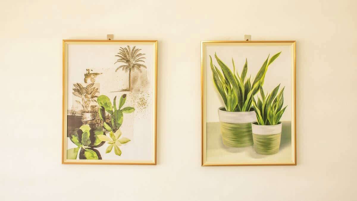 Two framed botanical illustrations on a wall.
