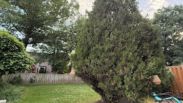 A backyard with a well-maintained lawn, a large coniferous tree, a wooden fence, and a patio area with a chair.