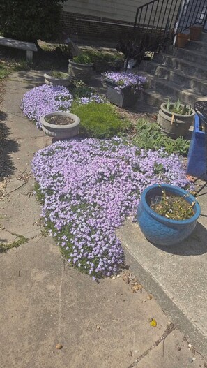 A concrete pathway with heart-shaped flower beds and a blue pot on the side.