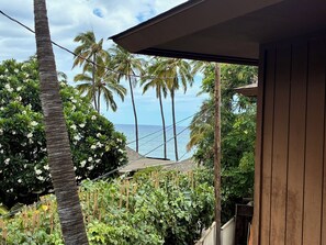 Blick von einer überdachten Veranda mit Holzbalkon auf einen üppigen Garten mit verschiedenen Pflanzen, Palmen und den Ozean im Hintergrund.