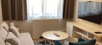 Forest View 1 bedroom Apartment at Zepterme Hotel, Vrnjacka banja - Private Host