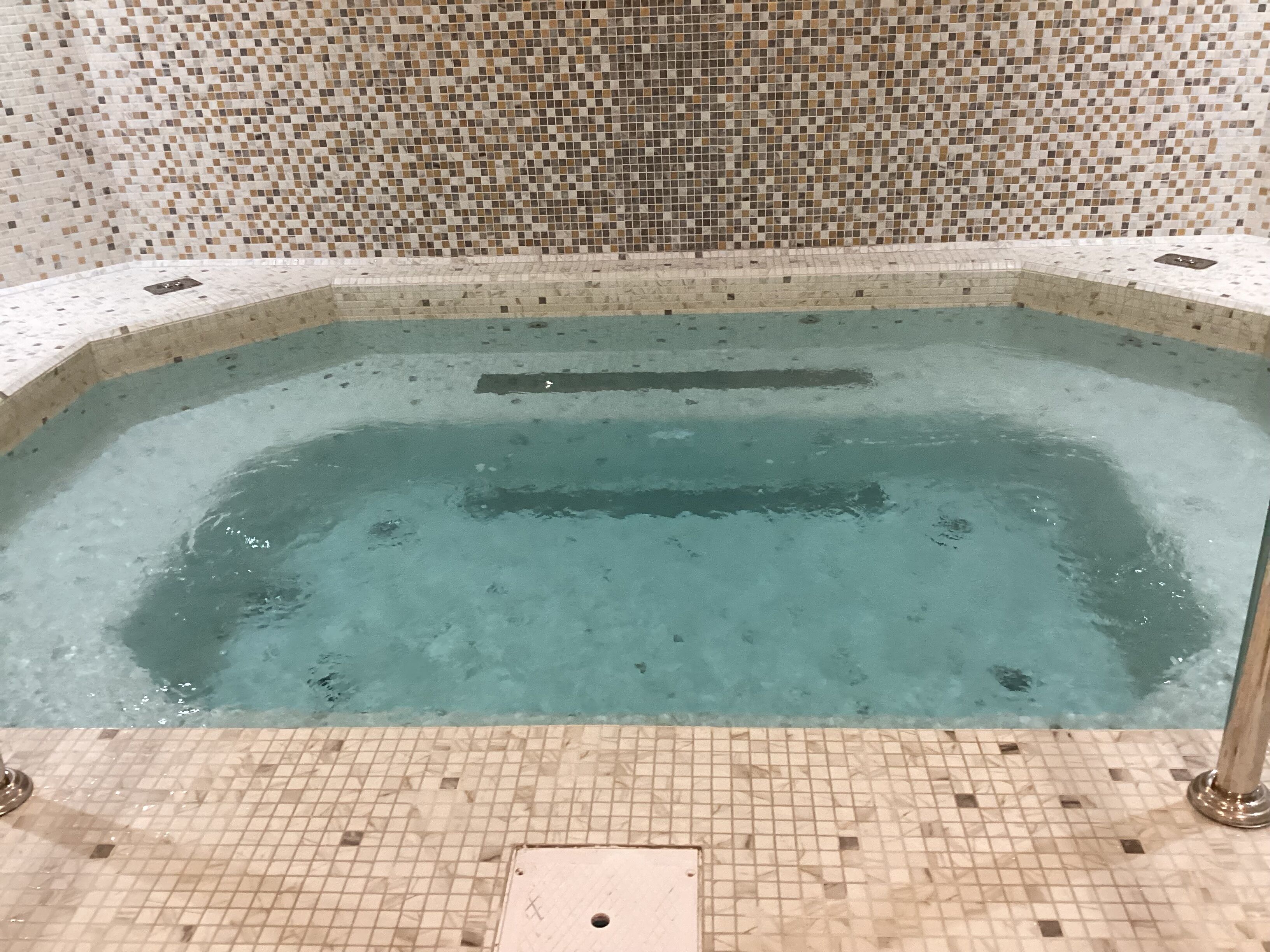Ein rechteckiges Whirlpool mit gefliestem Boden und Wänden, umgeben von einer Fliesenleiste.