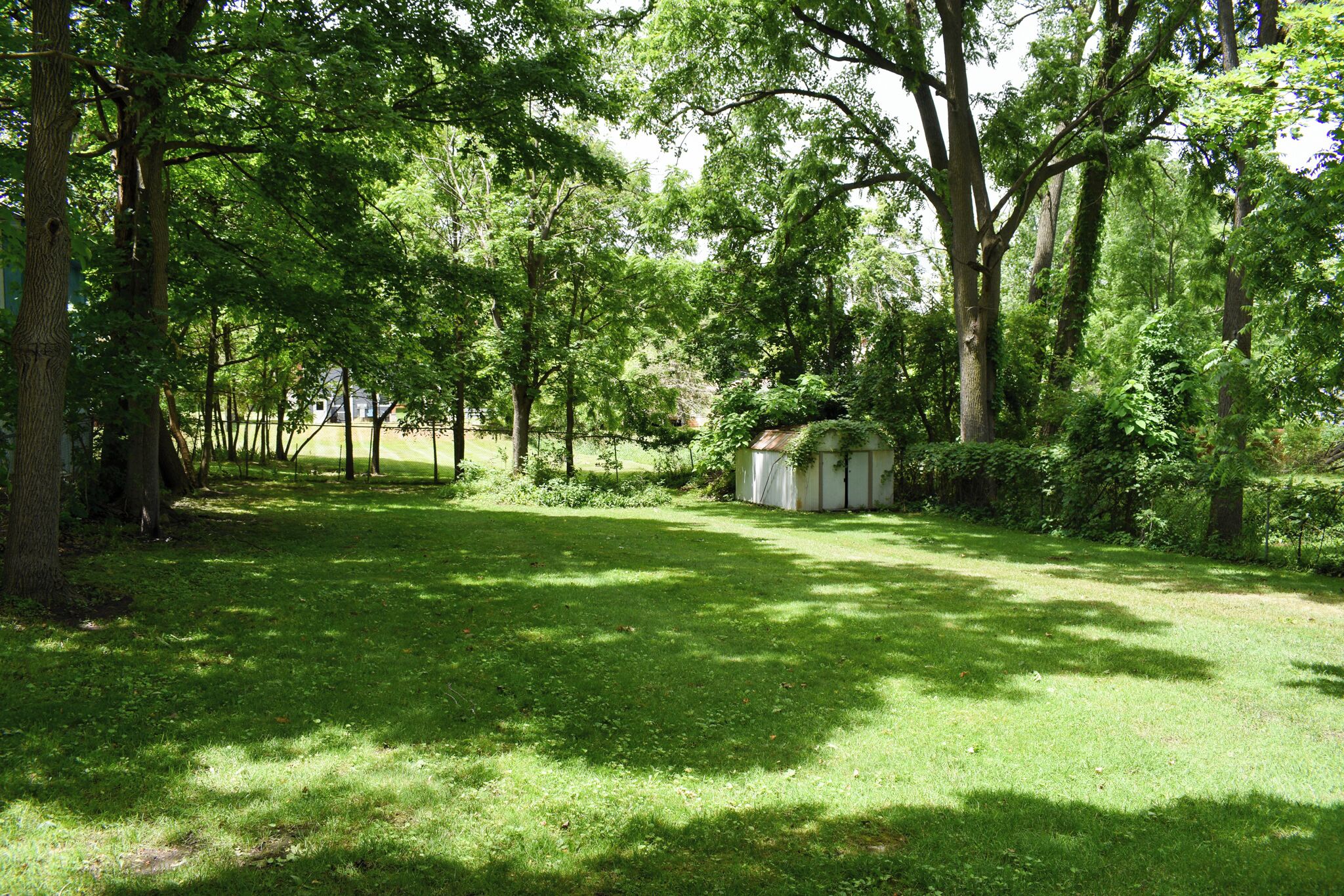 A grassy yard with trees and a small shed.