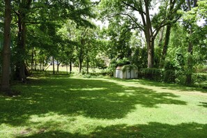 Une cour verdoyante avec des arbres et un petit abri de jardin.