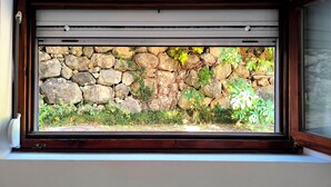 A window with a stone wall and greenery outside. - Quiet Garden Studio w/ Private Entrance & Parking (Budva)