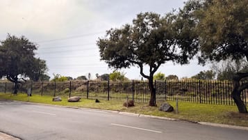 Un espace clos, avec des arbres et une route.