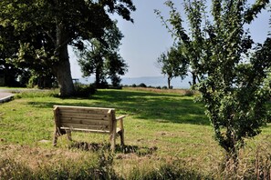 A park with a wooden bench, trees, and a grassy field. - Charming Irish Cottage Offering Peace, Comfort and Stunning Lough View (Londonderry)