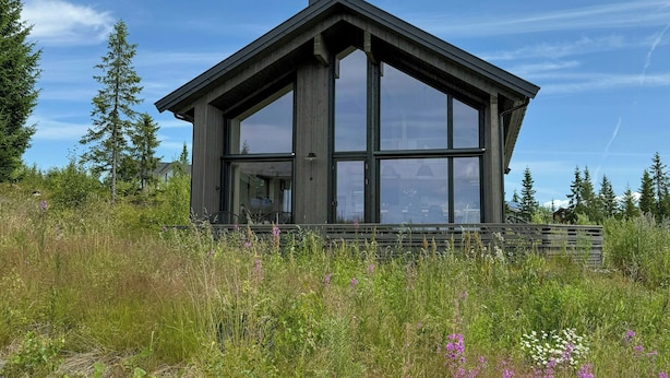 Una casa moderna con amplios ventanales, rodeada de vegetación y árboles naturales.