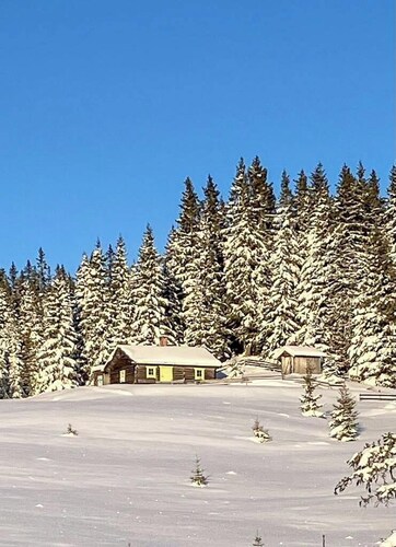 Scandinavian cabin with ski-in/ski-out access