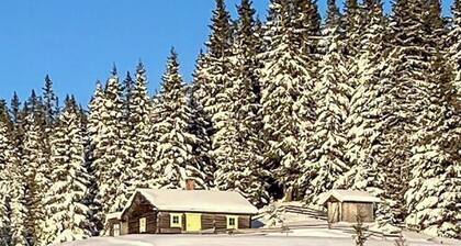 Scandinavian cabin with ski-in/ski-out access