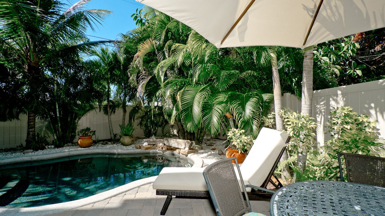 A pool area with lounge chairs and umbrellas, surrounded by tropical plants.