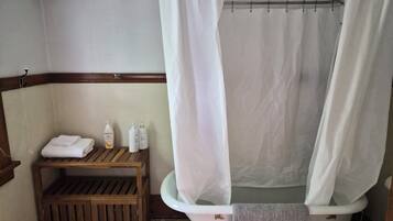 Hair dryer, bidet, towels, soap